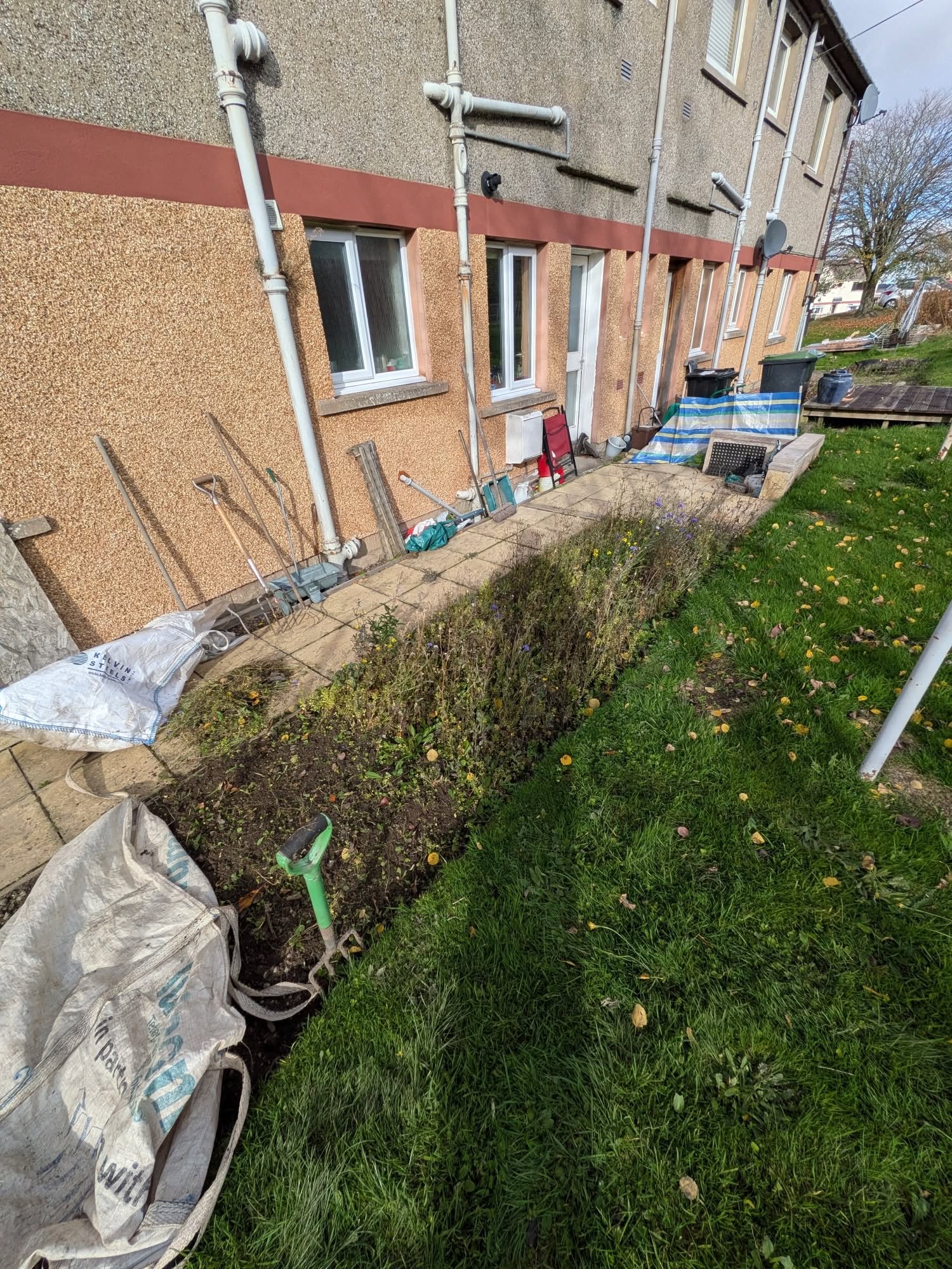 A back garden border cleared and the lawn cut