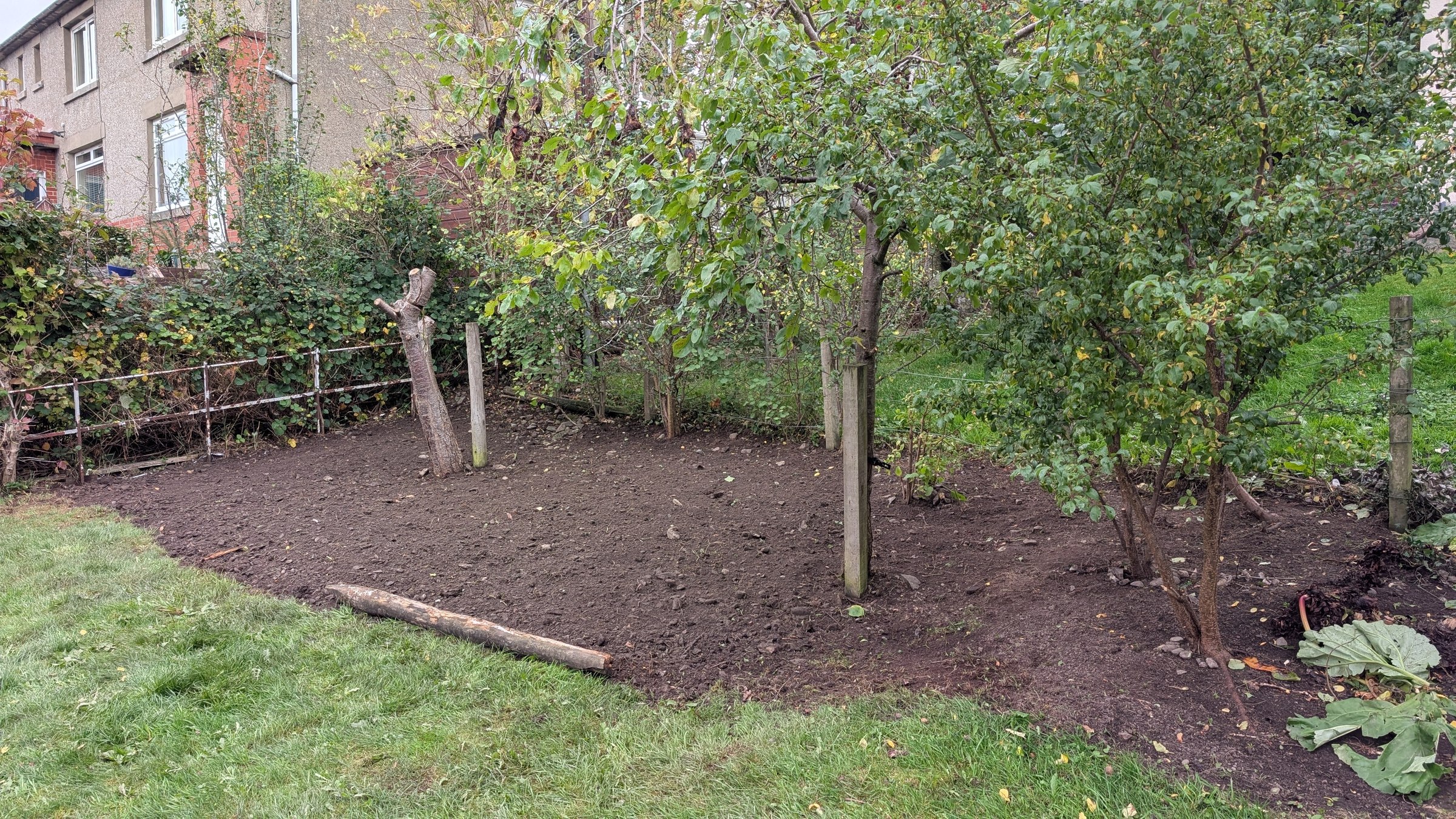 The same bed under the fruit trees weeded and dug over to clean soil, after